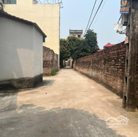 Bán Đất Hải Bối Đường 3M Vài Chục Mét Ra Tới Chục Chính Thôn Hải Bối