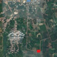Đất Lâm Đồng Giá Rẻ Chỉ Có Ở Đây,Diện Tích4265M2
