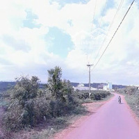 Chỉ 11 Tỷ Sở Hữu Ngay 1.350M2 Đất View Đồi Đẹp Tại Hòa Ninh, Di Linh