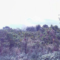 Chỉ 11 Tỷ Sở Hữu Ngay 1.350M2 Đất View Đồi Đẹp Tại Hòa Ninh, Di Linh