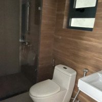 Bán Cc Celadon City - Skyline Villa Xe Ô Tô Chạy Lên Trước Nhà, Giá Bán 10,493 Tỷ, 178.8M2 Bao Đẹp