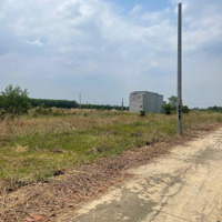Mua Đất Đón Sóng Sân Bay Long Thành, Vị Trí Đẹp, Giá Hời