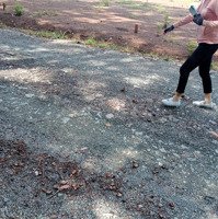 Bán Đất 250M2 Tại Đường 12, Thị Trấn Tân Khai, Hớn Quản, Bình Phước, Chỉ Với 430 Triệu