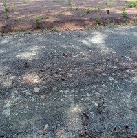 Bán Đất 250M2 Tại Đường 12, Thị Trấn Tân Khai, Hớn Quản, Bình Phước, Chỉ Với 430 Triệu