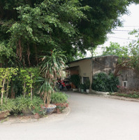 Bán Nhanh Mảnh Đất Phân Lô Đấu Giá Tại Đông Dư, Gia Lâm, Diện Tích 60M, Chỉ Hơn 8 Tỷ!