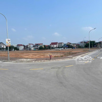 Chính Chủ Cần Bán Đất Đấu Giá Tại Thôn Đông Lai, Quang Tiến, Sóc Sơn - Gần Khu Công Nghiệp Nội Bài