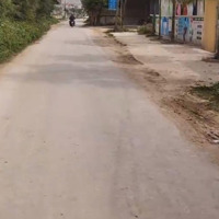 Bán Lô Đất Bám Đường Nhựa Liên Xã An Hoà Quỳnh Lưu
