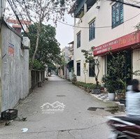 Chính Chủ Cần Bán Gấp 230M2 Full Thổ Cư Tại Tổ 8 Chi Đông