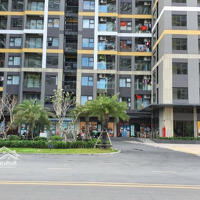 Cho Thuê Shophouse Vinhomes Grand Park, Giỏ Hàng Đủ Các Phân Khu, Mới Cập Nhật
