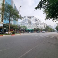 Cho Thuê Nhà Mặt Phố Trần Thái Tông - Cầu Giấy - 300M2 - Mặt Tiền 12M - 6 Tầng 1 Hầm - 200 Triệu/Tháng
