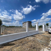 Hàng Hiếm Tại Tam Thôn Hiệp, Cần Giờ Giá 8 Triệu/M2, 2296M2 Liên Hệ: 0937 075 662
