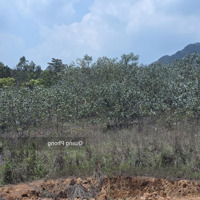 Bán Đất Đẹp 530M Sóc Sơn Hà Nội.