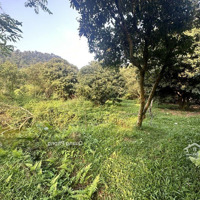 Bán 3200M Đất Đẹp Sóc Sơn Hà Nội