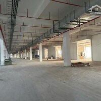 Cho thuê xưởng 28000m2 KCN Huyện Củ Chi, Tp HCM