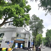 Bán Nhà Mặt Phố Hàng Trống, 300M2, Mặt Tiền 9M, 1 Chủ, Siêu Hiếm, 485 Tỷ.