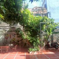 Căn nhà sân vườn phù hợp để nghỉ dưỡng nằm ngay trung tâm Hải Châu, TP. Đà Nẵng