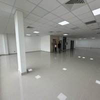 Cần Tiền, Bán Gấp Tòa Nhà Hầm 7 Tầng Đường Lê Hồng Phong, Dt: 14X20M Giá Chỉ 58 Tỷ Tl