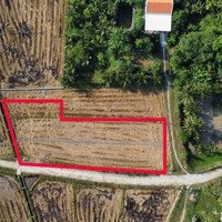 Cần Bán Đất Đẹp Phường Ninh Đa, Ninh Hòa Full Thổ Hơn 100M2 Gần Diểm Dừng Cao Tốc Kh-Bmt Chỉ 666 Triệu