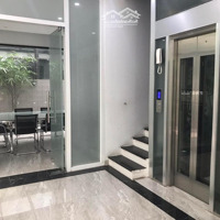 Cần Bán Gấp Nhà Ngõ 58 Trần Bình Mai Dịch Oto Đậu Cửa Kinh Doanh 55M2 7 Tầng