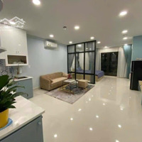 Mình Chuyên Cho Thuê Gateway Vũng Tàu, Giỏ Hàng Cho Thuê Từ 20 Căn. 097.3210.375 Kiều