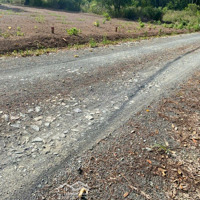 Đất Nền Khu Phố Tàu Ô, Thị Trấn Tân Khai 430 Triệu