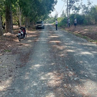 Đất Nền Khu Phố Tàu Ô, Thị Trấn Tân Khai 430 Triệu