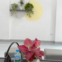 Bán nhà 3 tầng ngõ 20 đường Ngô Quyền, ph Thanh Bình, TP HD, 51m2, 3 ngủ, 3 vs, 2.8x tỷ