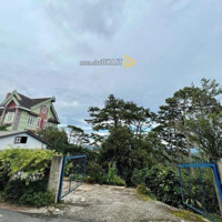 Bán Đất Hoàng Hoa Thám, P10, Đà Lạt, 48 Tỷ, 748.4M2