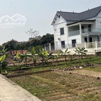 Bán Đất Lô Góc Tại Cộng Hoà- Phù Linh, 1,3 Tỷ, 58,8M2 Đẹp, Nhiều Tiện Ích