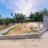 Bán Gấp Lô Đất Vườn Hoà Phú Đường Đi Núi Thần Tài Đà Nẵng