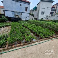 Bán Đất Đẹp Tạo Văn Giang Hưng Yên.