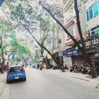 Bán Nhà Dòng Tiền Mặt Phố Vương Thừa Vũ 65M2 - 7 Tầng Thang Máy - Kinh Doanh Sầm Uất - Sổ Vuông Đẹp