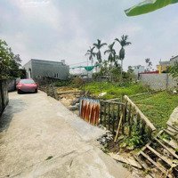Bán Lô Đất 64Mv Chính Chủ Tại Thôn Phương Chử Bắc Trường Thành An Lão