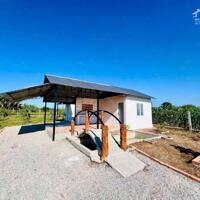 Bán nhà vườn xã Long Tân huyện Long Đất giáp ranh tp. Bà Rịa