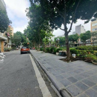 Hiếm! Bán Đất Ngọc Thụy Cạnh Công Viên Trường Học, Đường 4M, Sổ Vuông,Mặt Tiền15,8M, 320M2, Gía 48 Tỷ.