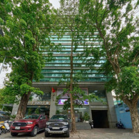 Tòa Nhà Mặt Tiền Nguyễn Gia Thiều, Q.3 - 27X38M, Cn 996M2 - Hầm 9 Tầng - Hđt 1.2 Tỷ - Giá Bán 550 Tỷ