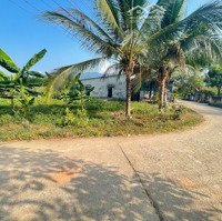 Diên Tân Đường Thông 6M Với 435 Triệu