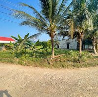 Diên Tân Đường Thông 6M Với 435 Triệu