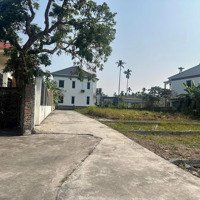 Bán Lô Đất 66Mv Chính Chủ Tại Đồng Xuân Trường Thọ An Lão