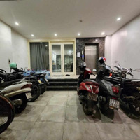 Dòng Tiền Siêu Đỉnh - Nàng Thơ Tây Hổ, Chdv Cao Cấp Dòng Tiền 100 Triệu, 7 Tầng Thang Máy Xịn Giá Bán 32 Tỷ