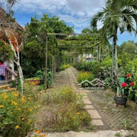 Bán Đất Tại Bình Mỹ, Củ Chi, 11 Tỷ, 3382 M2, Nhà Vườn Lâu Năm Siêu Đẹp