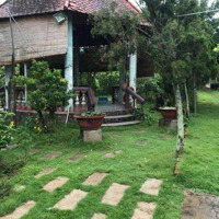 Bán Đất Tại Bình Mỹ, Củ Chi, 11 Tỷ, 3382 M2, Nhà Vườn Lâu Năm Siêu Đẹp