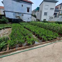 Chính Chủ Gửi Bán Mảnh Đất Làng Hoa Cây Cảnh Phụng Công _Văn Giang _Hưng Yên Diện Tích 1