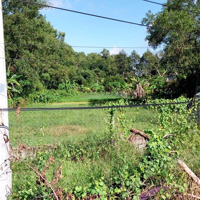 Đất Mặt Tiền Nguyễn Thị Vui 1.000M2 Có 200M2 Thổ Cư, Phú Mỹ Hưng, Củ Chi, Giá Cực Rẻ Chất 3,2 Tỷ