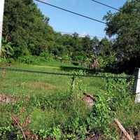 Đất Mặt Tiền Nguyễn Thị Vui 1.000M2 Có 200M2 Thổ Cư, Phú Mỹ Hưng, Củ Chi, Giá Cực Rẻ Chất 3,2 Tỷ
