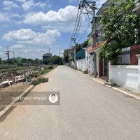 Giảm Giá, Cần Tiền Bán Gấp Lô Đất 94,5M2 Tại Thôn Viên Ngoại, Đặng Xá, Đường Ô Tô Tránh.