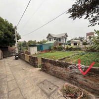 Bán 100M2 Đất Tại Trạch Mỹ Lộc , Đường Ô Tô, Đất 2 Mặt Ngõ, Mảnh Hoa Hậu Đẹp Nhất Khu