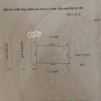 Tđc Trần Phú Đối Diện Vincom Lê Thánh Tông