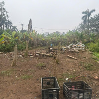 Siêu Phẩm Đấu Giá . Viên Nội . Đông Anh . Hà Nội Cần Bán Cho Nhà Đầu Tư