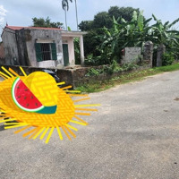 Bán Mảnh Đất 225Mv Chính Chủ Tại Đại Trang Bát Trang An Lão
